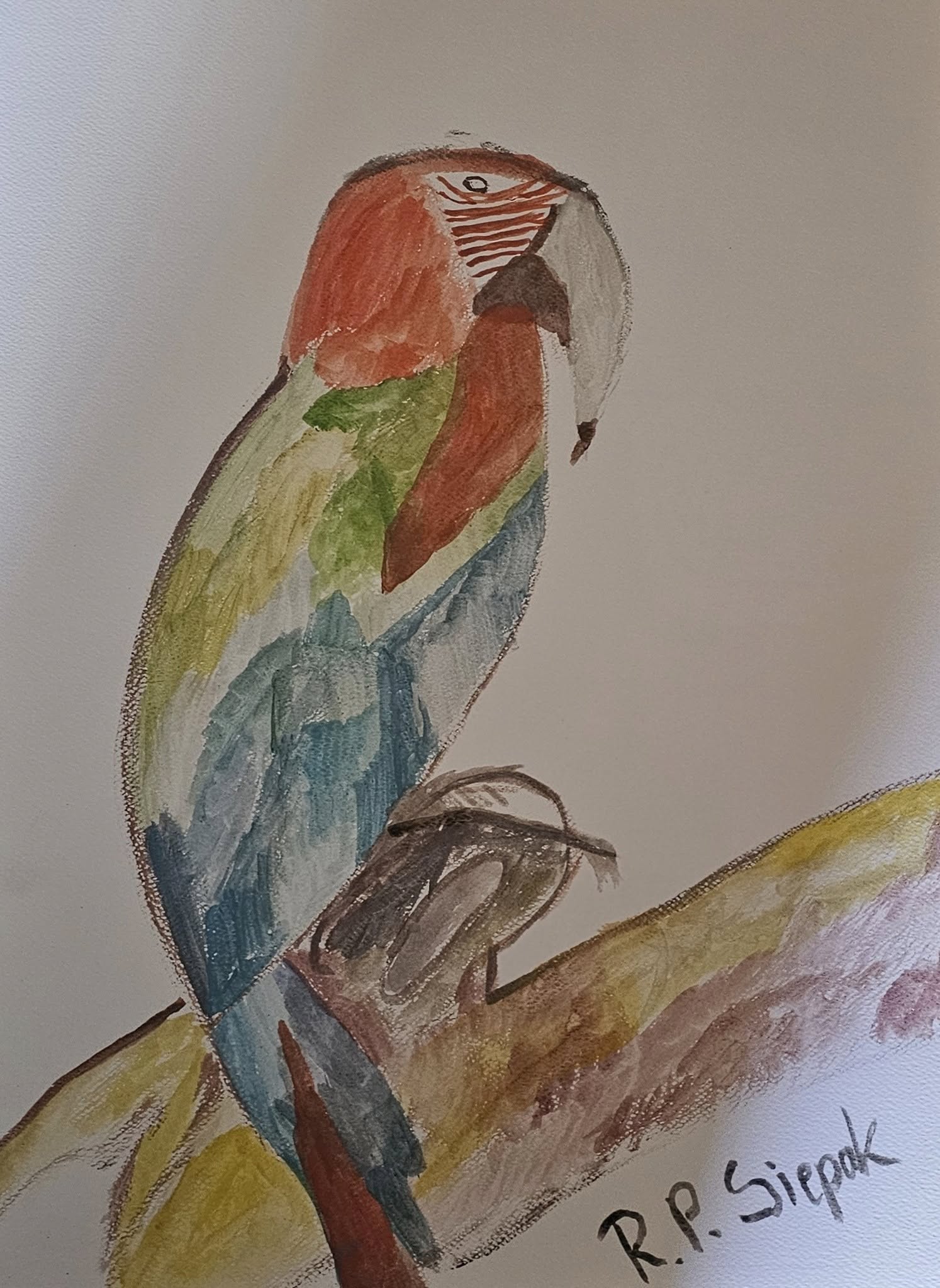 Denzel, Watercolor, artist: R. P. Siepak, produced: April 2025, acquired by: Paulinka, location: Poland, as: Gift, size: 29x42 cm, inspired by: Mother Nature